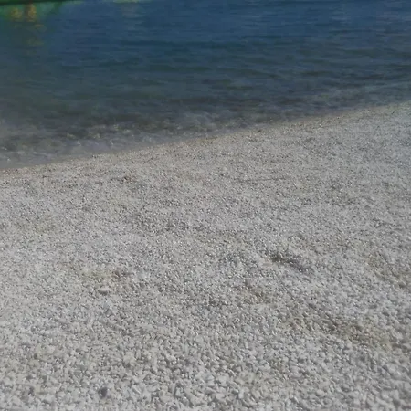 Mravak Trogir