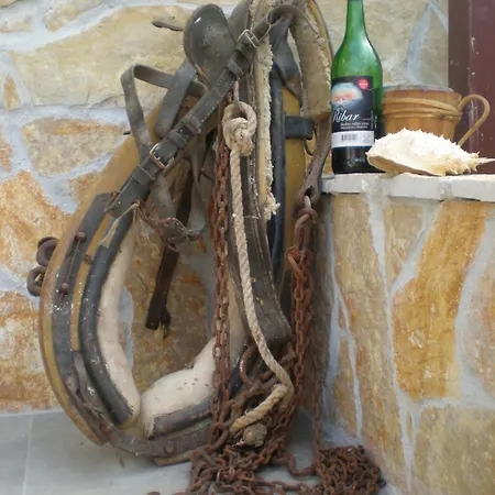 Apartman Mravak *