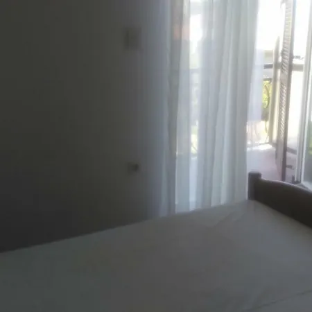 Mravak Trogir