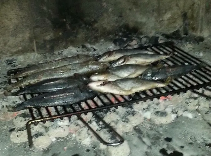 Mravak * 特罗吉尔