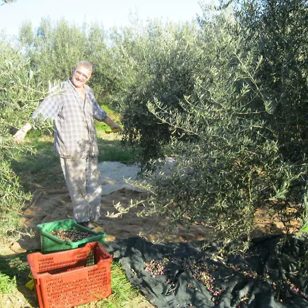 Mravak Апартаменти *