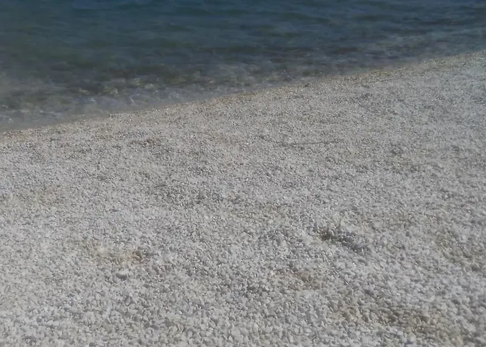 Mravak Trogir