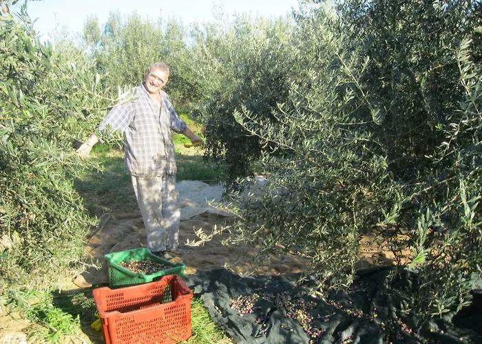 Mravak Appartement *